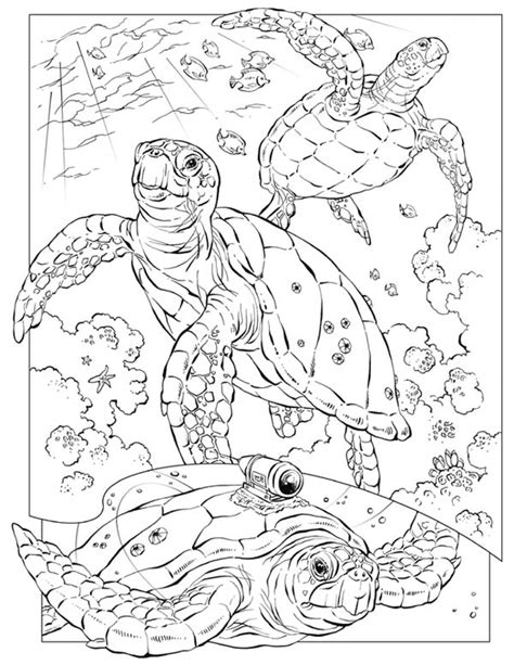 Sea Turtle Coloring Pages Coloringrocks