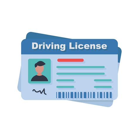 Driver License Identification Or Id Card Template Illustration