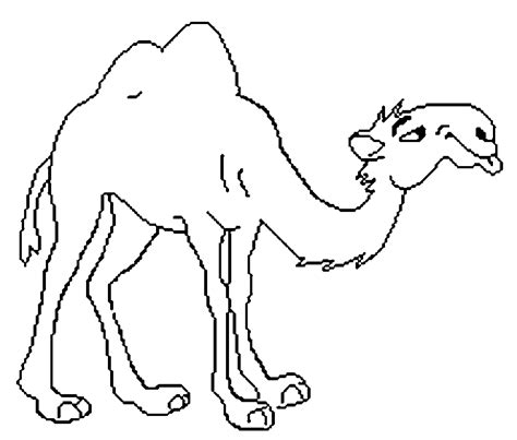 Colorea Tus Dibujos Camellos Para Colorear