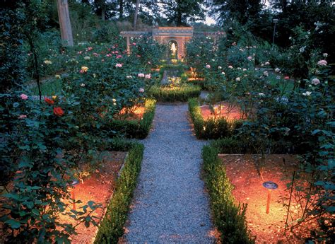 Rose Garden At Night Pics