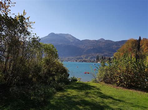 Der mann sprang laut eigenen angaben aus einer. Goldener Herbst am Wolfgangsee | SalzburgerLand Magazin