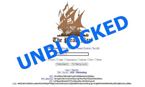 After that, i tried to unblock page with calling unblockui function in my javascript side but it didn't unblock it. How to unblock the Pirate Bay - all possible ways in 2021
