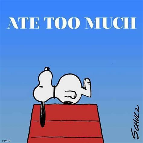 Thanksgiving Ate Too Much Snoopy Funny Snoopy Snoopy Quotes
