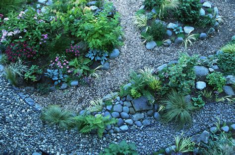 Rock Garden Design What To Know What To Grow