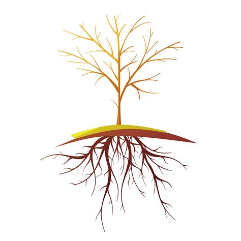 Tree With Root Isolated Retro Cartoon Illustration 478806 Vector Art At