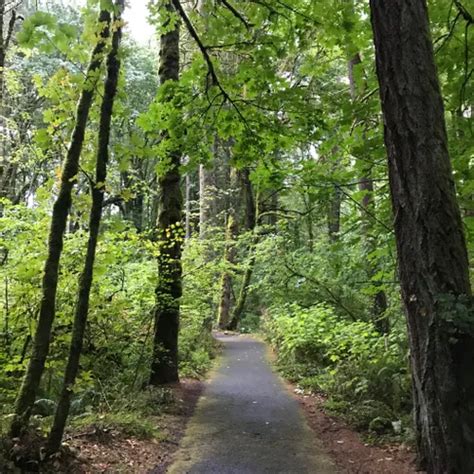 Best 10 Hikes And Trails In Tryon Creek State Natural Area Alltrails