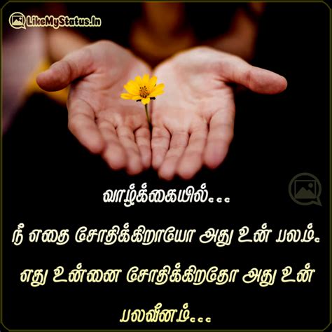 An Incredible Compilation Of Over 999 Tamil Life Quotes With Images