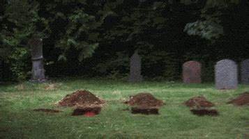 Cemetery GIFs Find Share On GIPHY