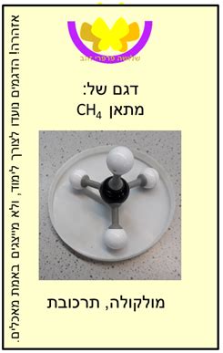 סרטים מצוירים לצפיה ישירה דורה דרדסים פופאי בובספוג באגס באני פו הדוב טום וג'רי מיקי מאוס רוד ראנר הפנתר הורוד אודות האתר הפעלות לימי הולדת לילדים שימושון קניונים בניית אתרים אטרקציות למשפחות / לילדים בתי מלון. שלושה פרפרי זהב,