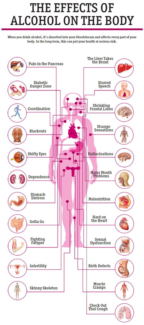 How Alcohol Affects The Body Information