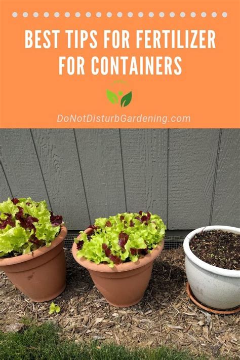 I'm new to gardening and im. Does Potting Soil Need Fertilizer? | Do Not Disturb ...