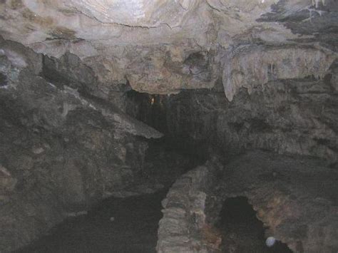 Typical Cave Scenery Picture Of Crystal Cave Sequoia And Kings