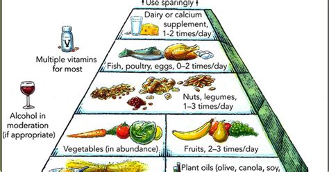 Healthy Food Pyramid Chart Ehow Uk