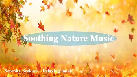 Peaceful Nature Music For Relaxing After A Stressful Day © Serenity Seekers Relaxing Music