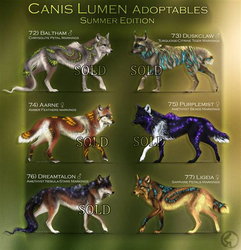 Closed Canis Lumen Adoptables Summer Edition By Khaliaart On Deviantart
