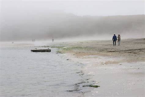 People Walking On The Beach In Fog Princeton Ca Editorial Photo