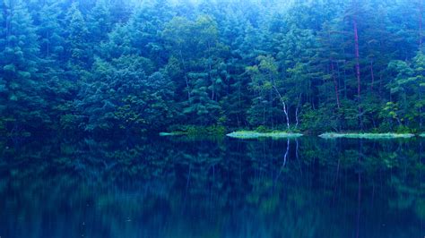 1920x1080 Lake Water Trees Forest Blue Coolwallpapersme