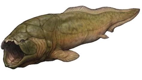 Titanichthys Dinopedia Fandom Giant Fish Devonian Period