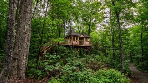 Découvrez au fil des saisons la multitude d'activités, d'événements, de restaurants et de lieux d'hébergement proposée dans les 5 pôles. PHOTOS 10 nouveaux refuges dans les arbres à Mont ...