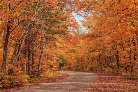 10 Places In Canada To See Gorgeous Fall Foliage Cruiseable