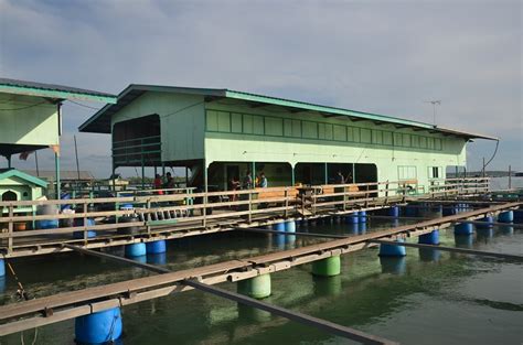 Di chalet ini juga terdapat anjung yang mengunjur ke selain chalet, terdapat juga sebuah restoran terapung di kuala gula. Chalet terapung Pulau Ketam - Umpan