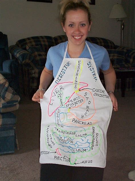 Teach kids the digestive system by decorating an apron ...