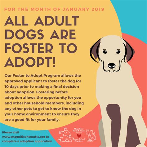 Foster To Adopt January Magnificent Mutts Rescue