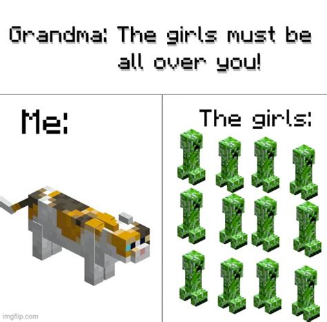Minecraft Memes And S Imgflip