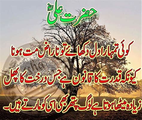 Beautiful Hazrat Ali R A Quotes Images In Urdu