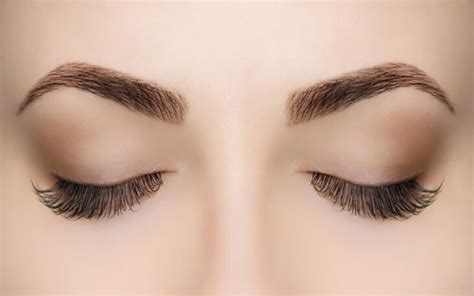 personality traits eyebrow shape reveals your personality secrets like this have you ever noticed