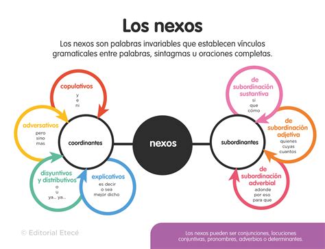 50 Ejemplos De Nexos