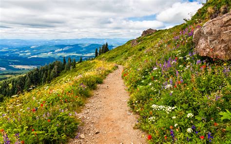 21 Best Hikes In Washington State Small Town Washington