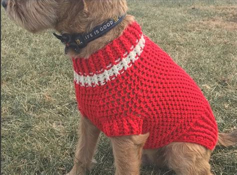 Easy Crochet Dog Sweater For Small Dogs Garcia Dentoorse