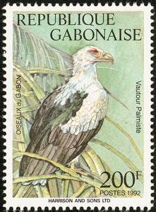 Stamp Palm Nut Vulture Gypohierax Angolensis Gabon Birds Mi