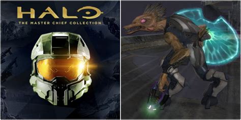 Halo 10 Things You Never Knew About Jackals