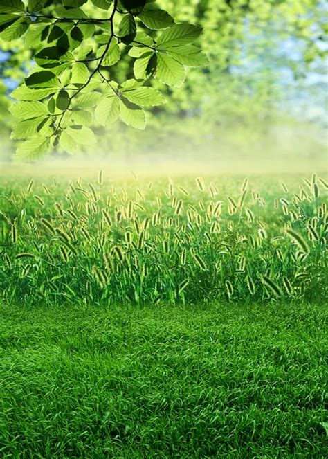 Spring Grass Field Backdrop For Photo Shoot Photography Backgrounds For