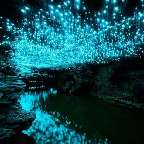 Cave Glow Worms Nature Beautiful Places To Visit Scenery