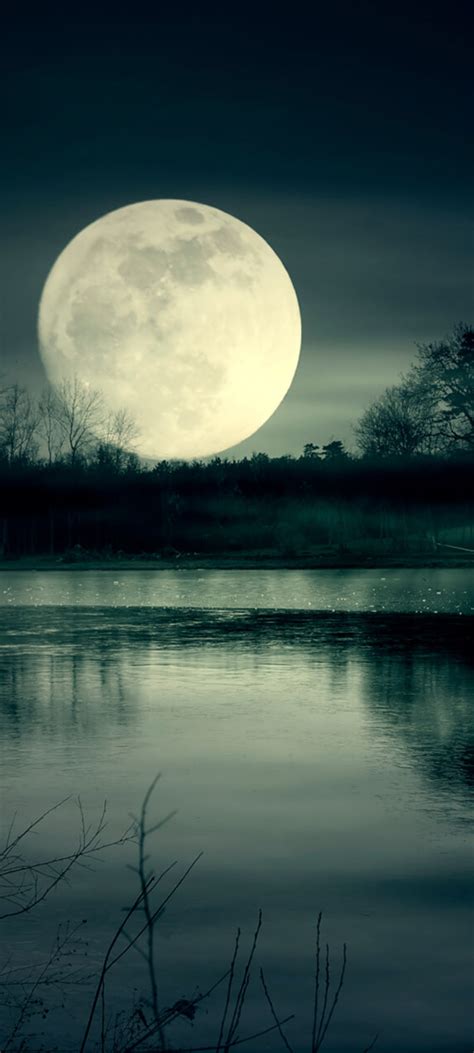 1080x2400 Full Moon Night Near Lake 1080x2400 Resolution Wallpaper Hd