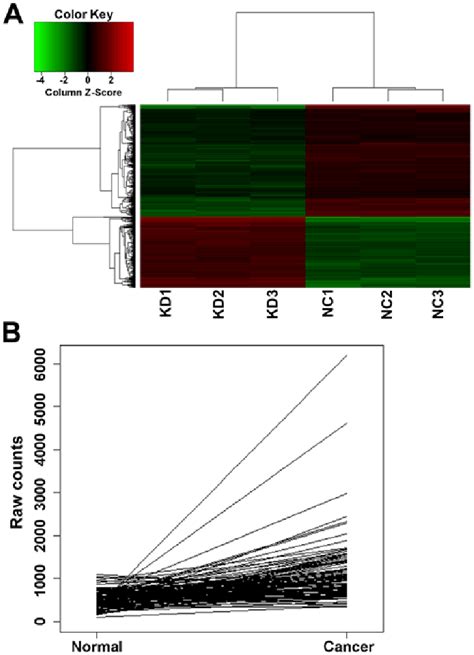 A Heatmap Of The Genechip Assay Knockdown Group Kd And Were Download Scientific