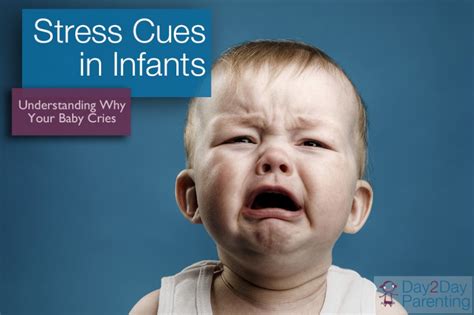 Stress Cues In Infants Understanding Why Your Baby Is Crying And More
