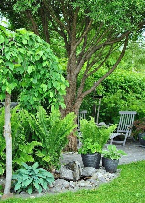34 Lovely Tropical Garden Design Ideas Magzhouse In 2020 Shade