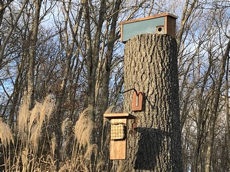 How To Build A Winter Roosting Box Diy Barn Wood Project For The Birds