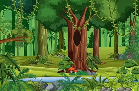 Forest Scene With Liana And Many Trees Download Free Vectors Clipart