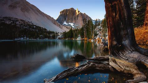 California Lake Mountain And Sierra Nevada With Tree During Fall Hd