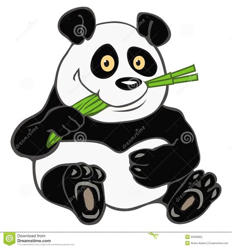 Panda Bamboo Royalty Free Stock Photo Image 20302855
