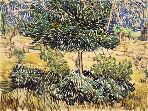 Tree And Bushes In The Garden Of The Asylum Painting By Vincent Van Gogh Pixels