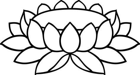 Lotus Line Drawing At Getdrawings Free Download