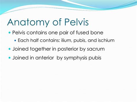Ppt Pelvic Immobilization Devices Powerpoint Presentation Free