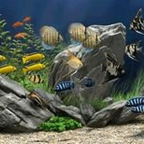 Stream Download Link Serial Number Dream Aquarium Screensaver From