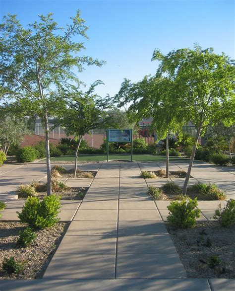 Acacia Demonstration Garden Jw Zunino